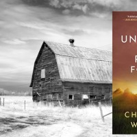 The Unveiling of Polly Forrest: A Mystery by Charlotte Whitney @CWhitneyAuthor #NetGalley #RBRT #HistFic